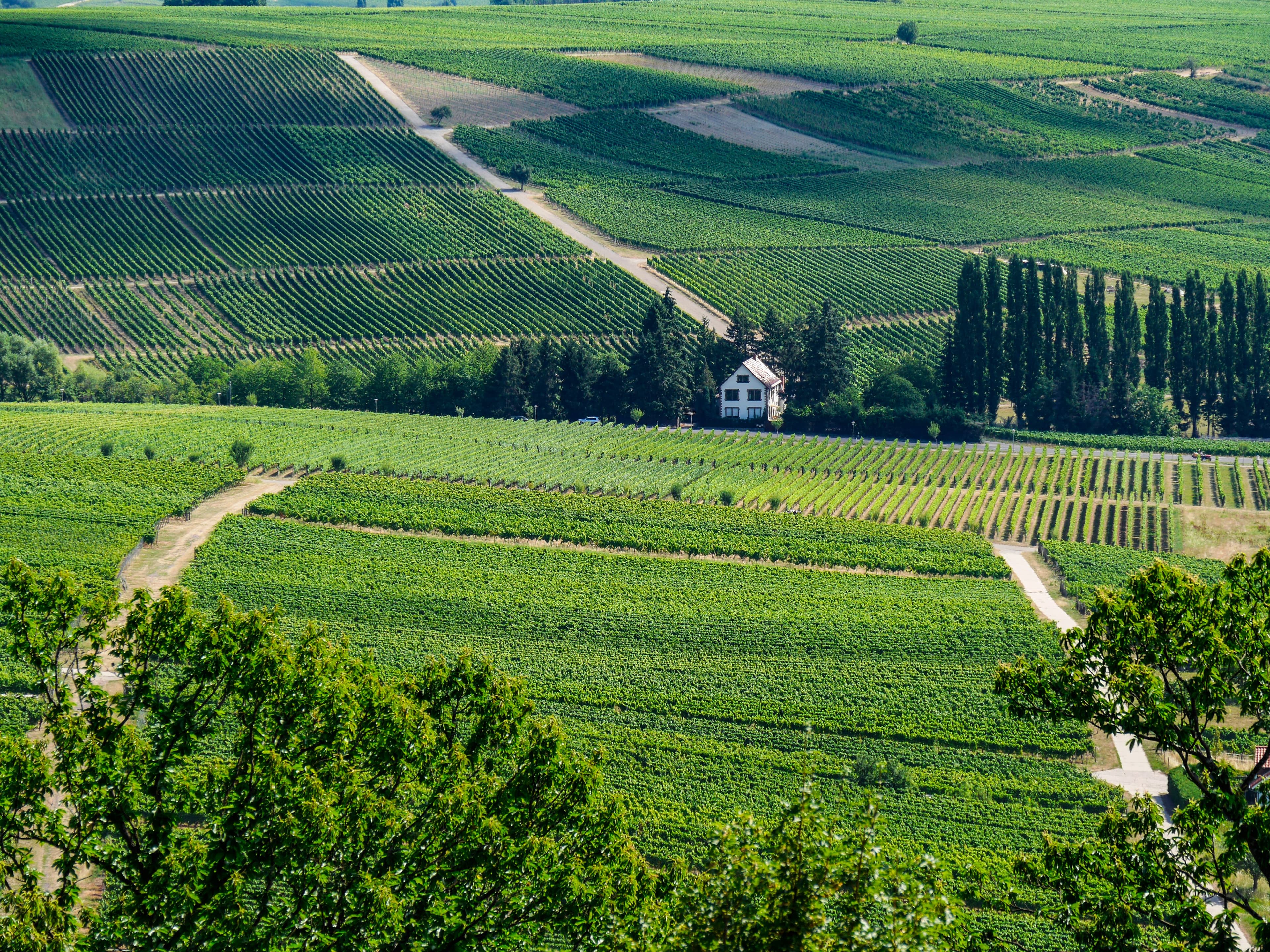 Thema der REISEfieber